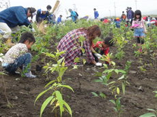 植樹祭の様子