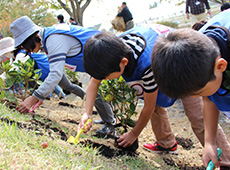 苗木を植える様子