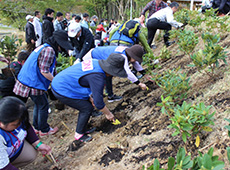 植樹の様子