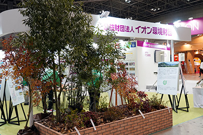 シラカシの植栽帯