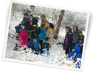日根野イオンチアーズクラブ 金剛山「冬の雪山自然観察」に行きました。