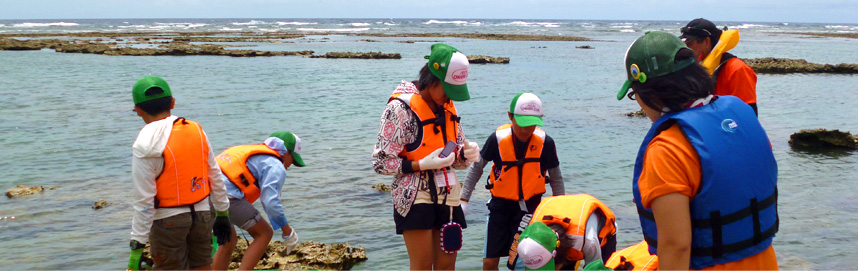 各地区で実施した「イオン チアーズクラブサミット」(年間の活動報告会)で選ばれた50クラブが、北海道と沖縄に分かれて集まり、各クラブの仲間の学習成果を発表し合ったり、仲間と一緒に自然体験プログラムを楽しみます。