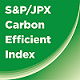 SP_JPX Carbon