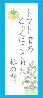 川柳作品の紹介 トマト育ちとっくにこされた私の背